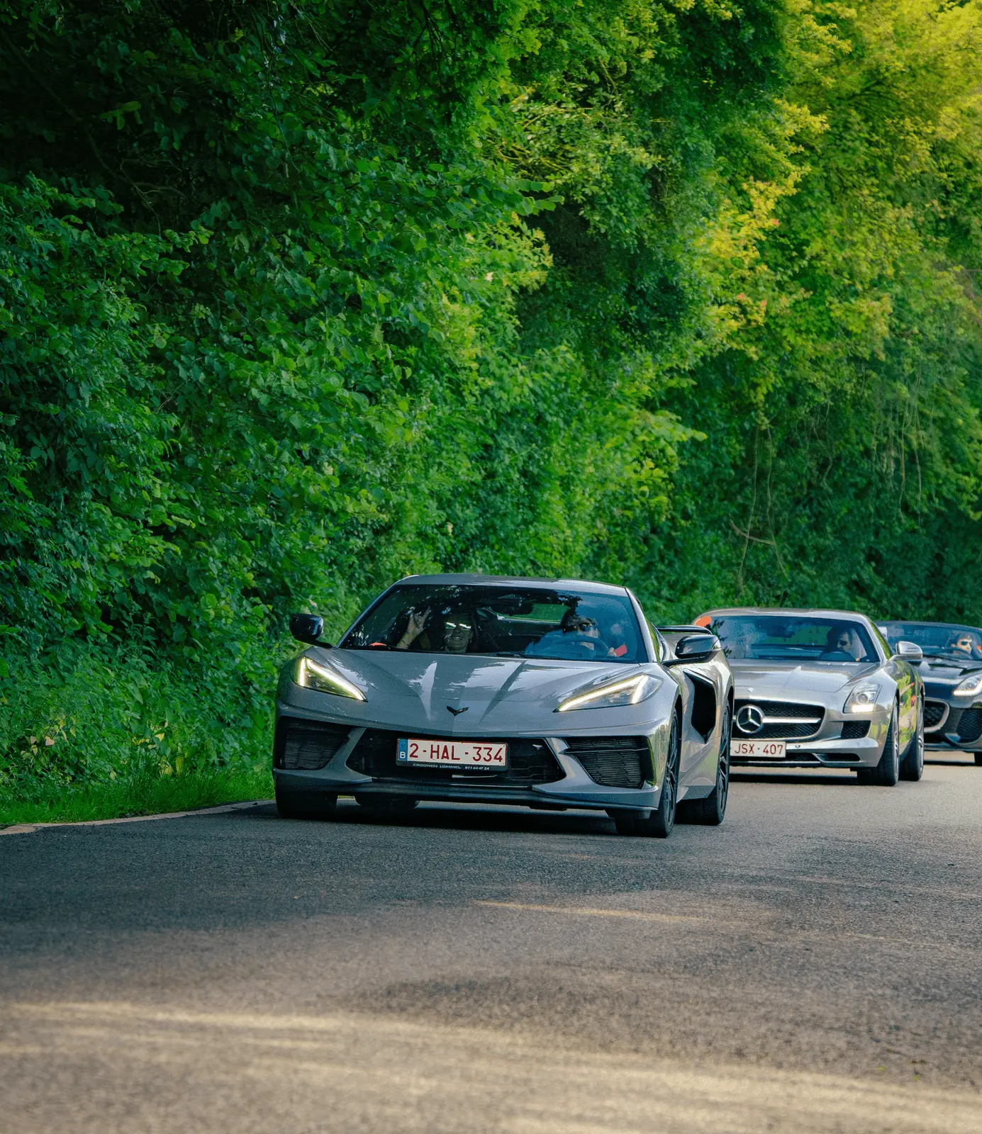 Corvette en Mercedes op een bosweg